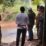 Putusnya Jembatan Tanjung, Warga Usung Jenazah Seberangi Sungai Pemkab Jadwalkan Pembangunan Ulang