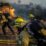 Sandy Fire Hanguskan Ribuan Hektare di California, Otoritas Tetapkan Status Darurat