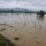 Sawah Baru Tanam di Cibadak Terendam, Petani Pangasahan Kembali Dihantam Banjir Musiman