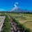 Gunung Semeru Jadi Gunung Api Paling Aktif di Indonesia Sepanjang 2026